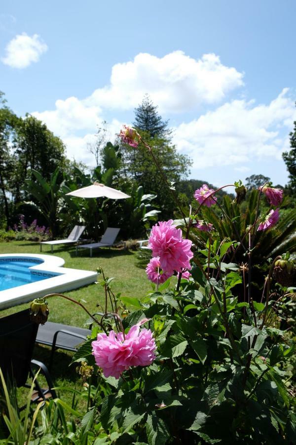 Ponta Delgada Pink House Azores المظهر الخارجي الصورة