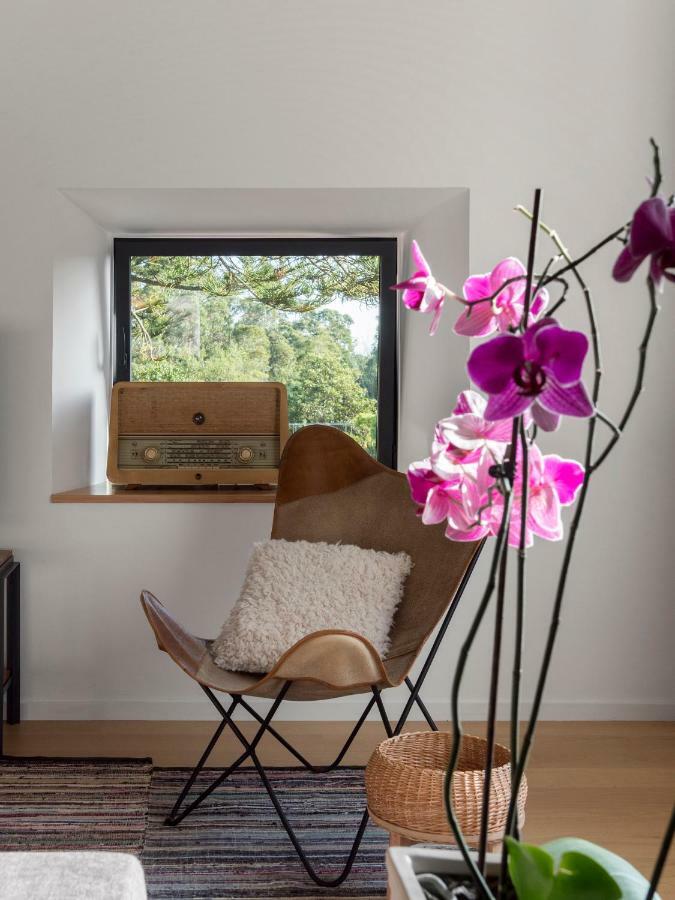 Ponta Delgada Pink House Azores المظهر الخارجي الصورة